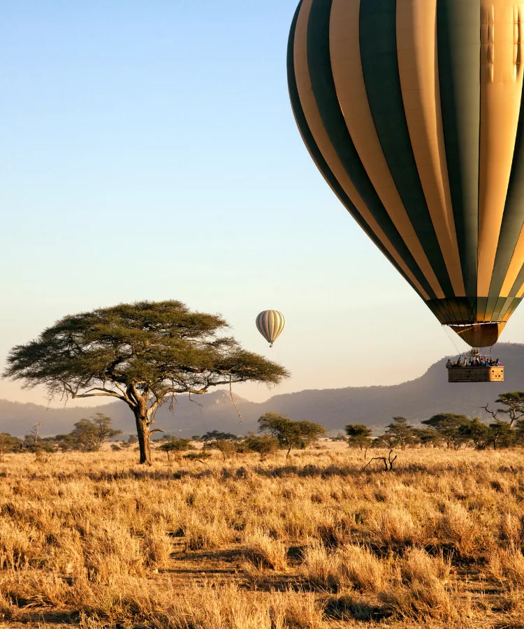 Serengeti Park