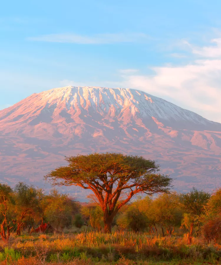 Kilimanjaro
